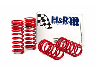 1 H&R 51650-88 FORD MUSTANG.jpg