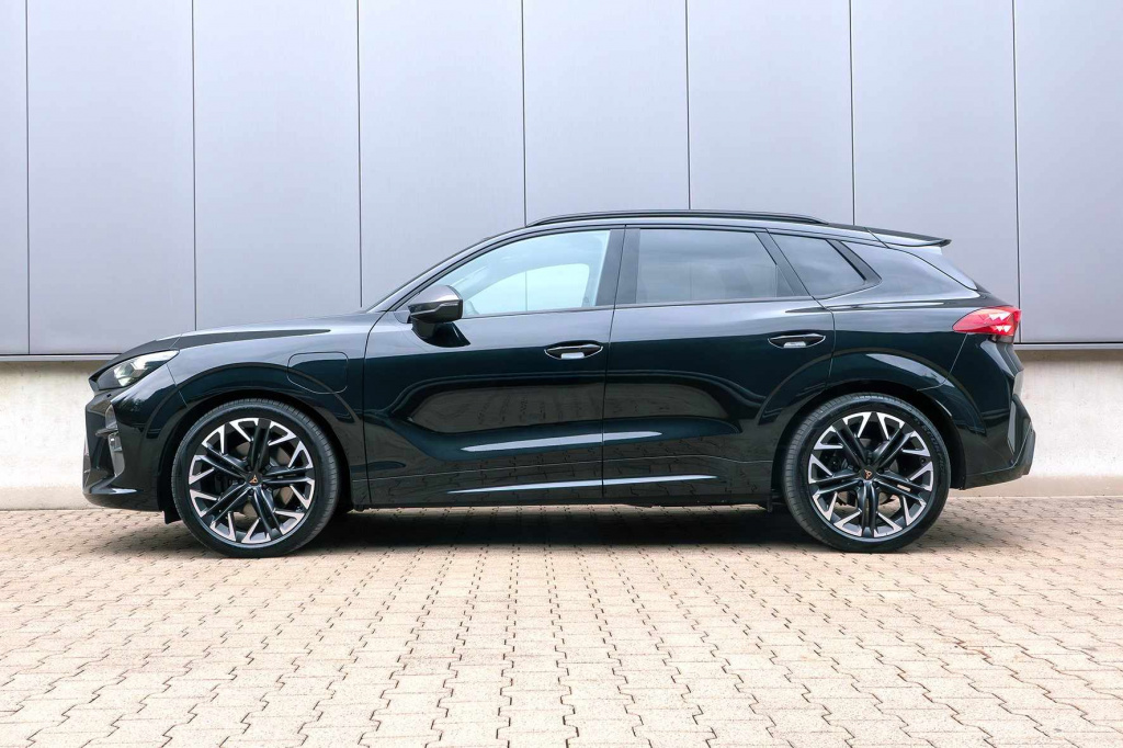 3-HR-28538-5-пружины-с-занижением-Cupra-Terramar.jpg